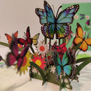 Margrietjes met vlinder - Pop - Up kaart - Catch Utrecht
