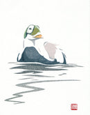 Brileider - Catch Utrecht