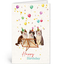 Happy birthday - Katten - Catch Utrecht