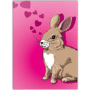 Konijn hartjes - Catch Utrecht