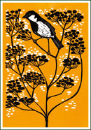 Mus, Octavie Wolters - Catch Utrecht