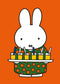 Nijntje - Miffy - Moeder Nijntje - Catch Utrecht