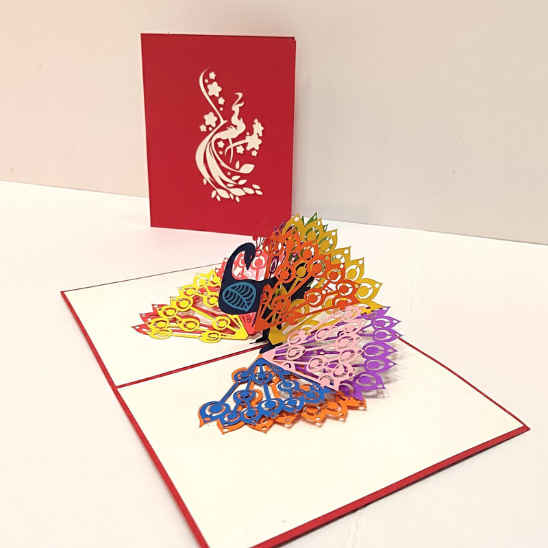 Pauw - Pop - Up kaart - Catch Utrecht