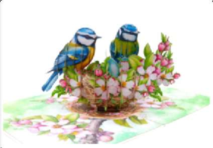 Pimpelmeesjes - Pop - Up kaart - Catch Utrecht