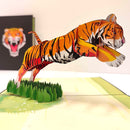 Tijger - Pop - Up kaart - Catch Utrecht