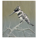 Bonte ijsvogel - Catch Utrecht