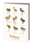 Kuikens, Elwin van der Kolk, Vogelbescherming - Catch Utrecht